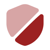 Privacy Icon
